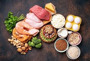 What Should We Be Eating - Protein