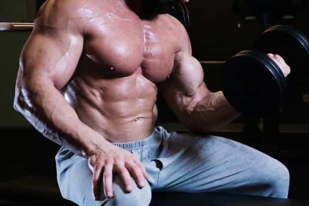 Resistance training programme-Male Bodybuilder