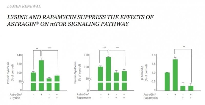 Signalling Pathway