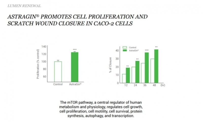 AstraGin-Cell Proliferation