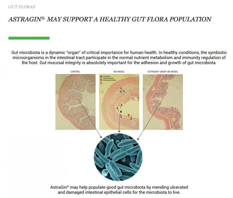 AstraGin-Healthy Gut