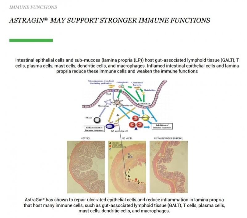 AstraGin-Immune Functions