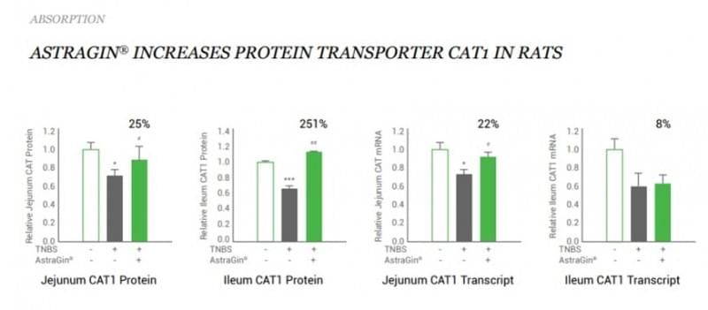 Protein Transporter Graph