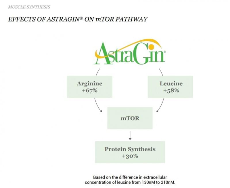 Astragin Pathway