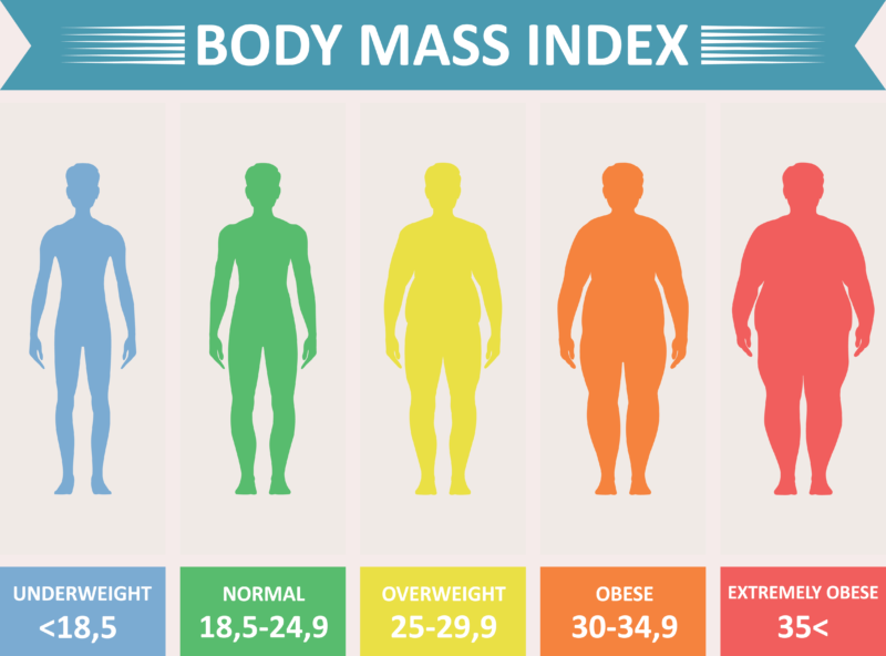 Body Mass Index Chart