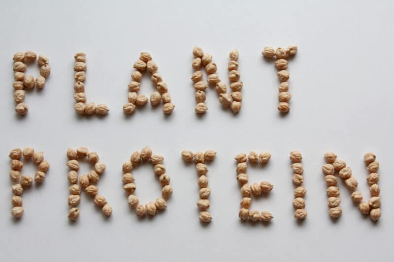 Vegan_100%_protein article_plant protein