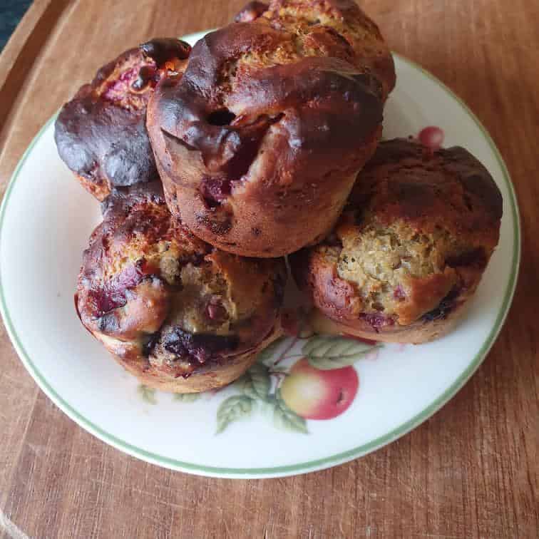 test TIME 4 PLUM & VANILLA HIGH PROTEIN MUFFINS