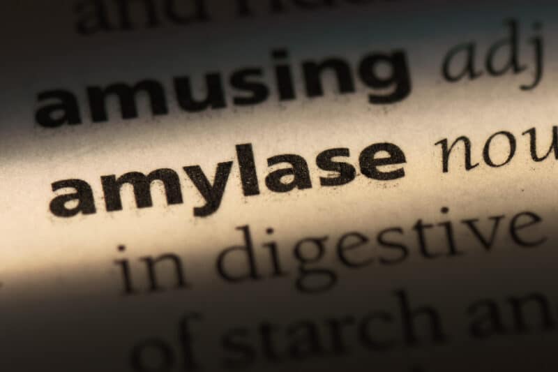 Amylase