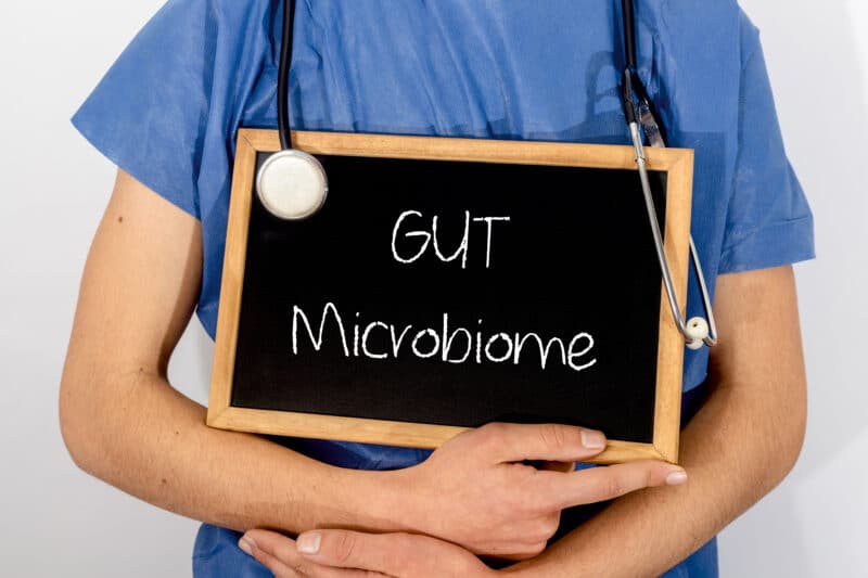 probiotic supplement_gut microbiome