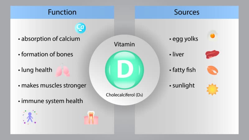 Vitamin D Function and Sources