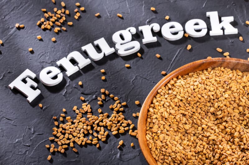 Fenugreek