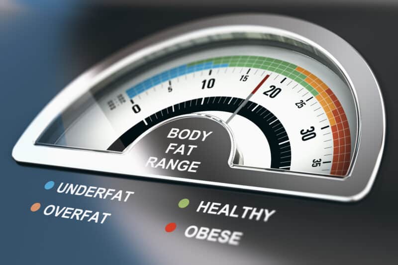 Body Fat Range Meter