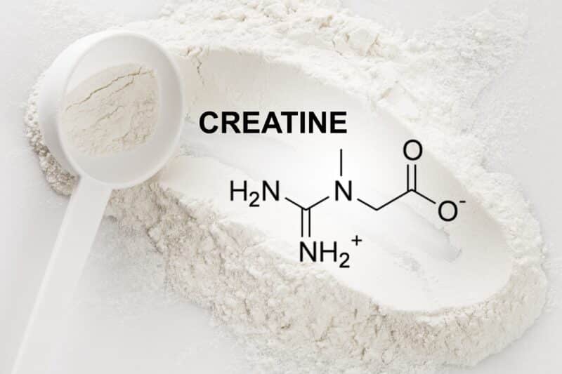 Does Creatine Cause Hair Loss? | What Does The Science Say?