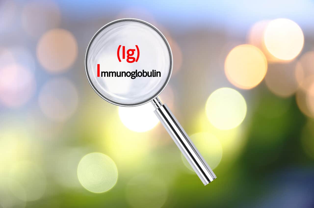 Immunoglobulin