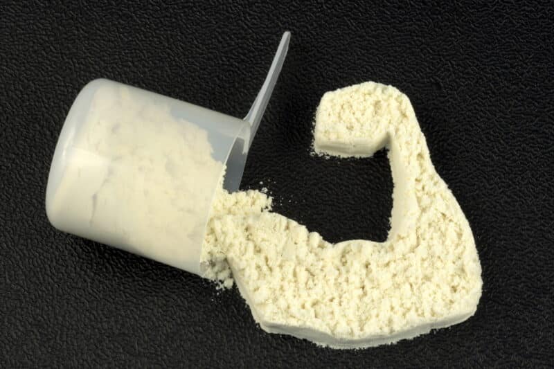 The Secret is in the Timing: The Benefits of a Time Released Whey Protein Formula_ Whey Powder_Scoop