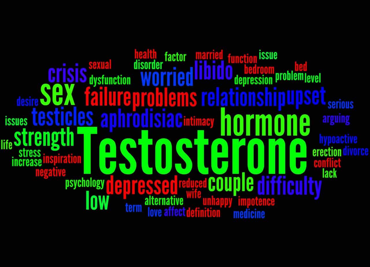 test Can Zinc Increase Testosterone?