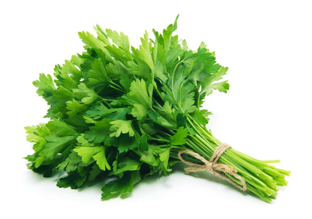 WHAT_IS A_WATER_LOSS_SUPPLEMENT_PARSLEY