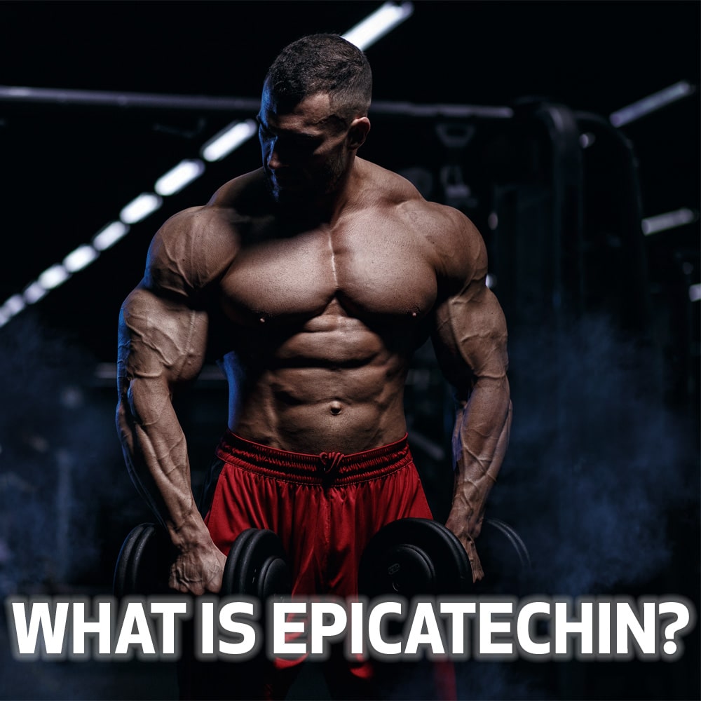 test What is Epicatechin?