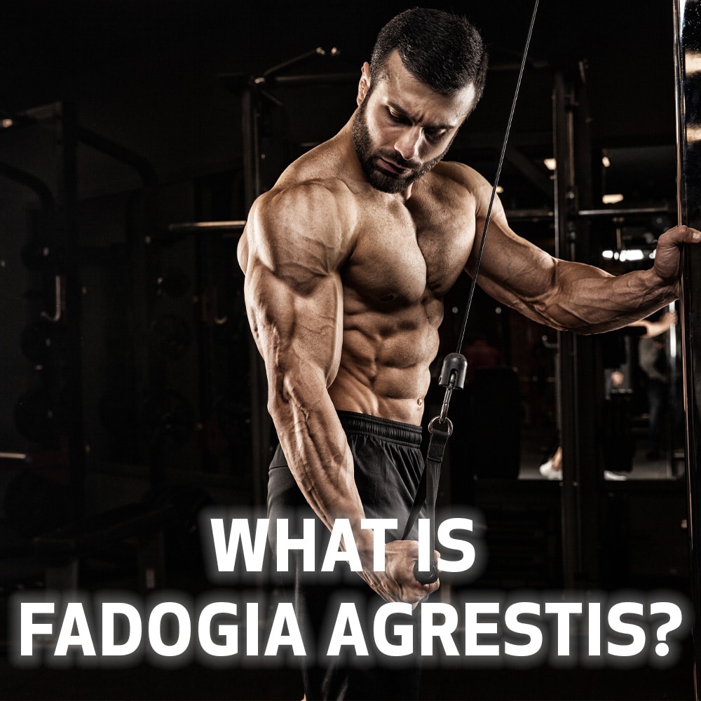 test What is Fadogia Agrestis?