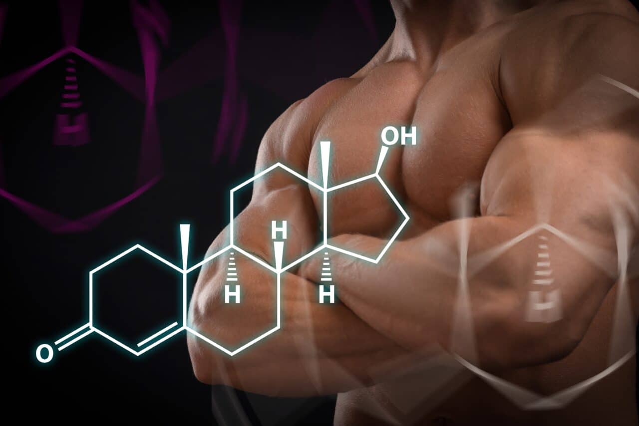 test How to Increase Testosterone Naturally